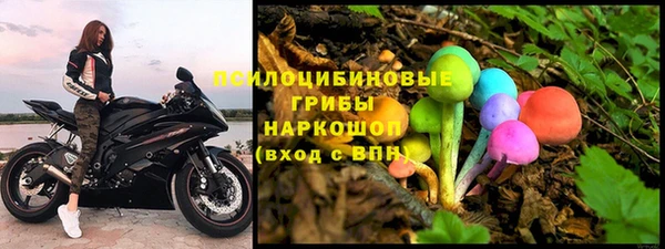 молекула духа Покровск