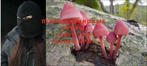 соль курить ск Алзамай