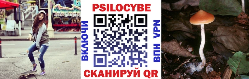 hydra зеркало  Поронайск  Псилоцибиновые грибы мухоморы 